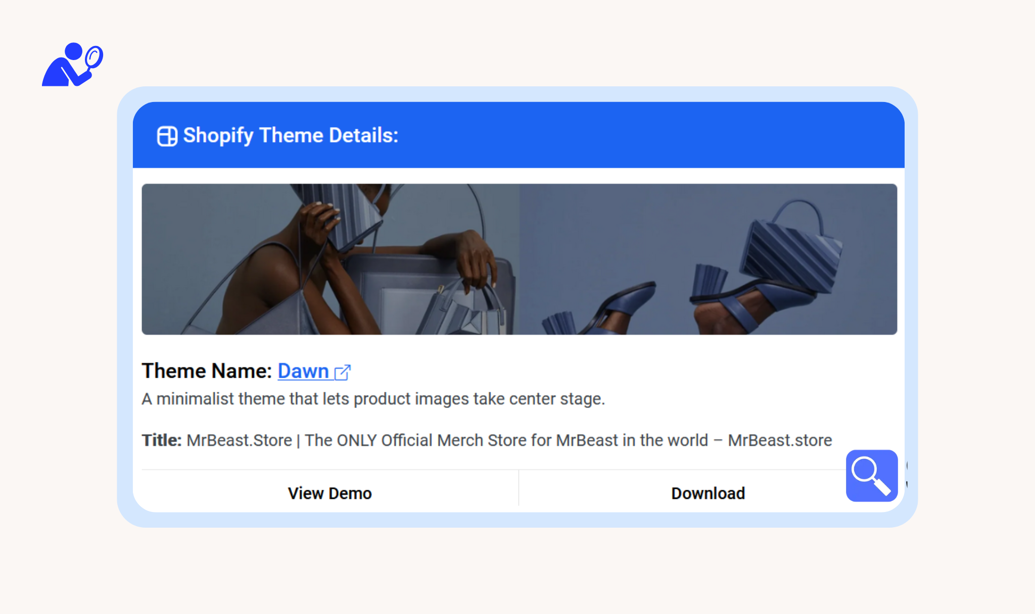 Shopify Theme Detector Result